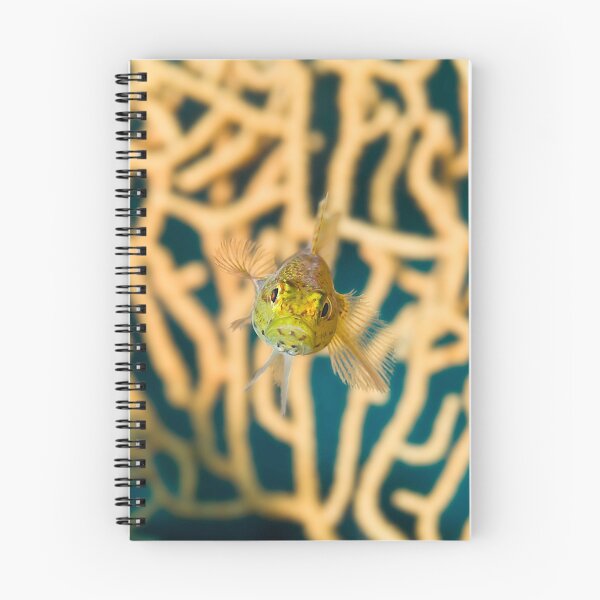 Item preview, Mediterranean Blenny Macro designed and sold by Gorden.
