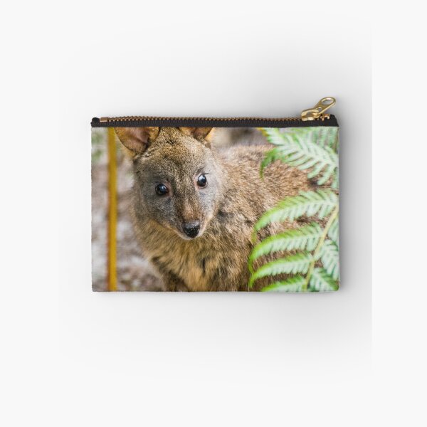 Item preview, Tasmanian Pademelon designed and sold by John Donkin.