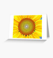 Beautiful sunflower of summer Greeting Card