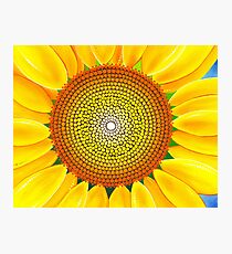 Beautiful sunflower of summer Photographic Print