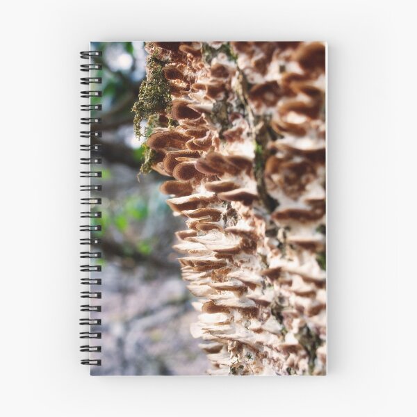 Item preview, Layers of Fungi designed and sold by photolyns.