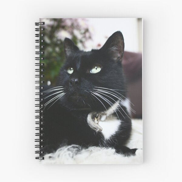 Item preview, Zebedee designed and sold by Chris Cherry.