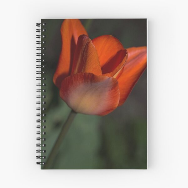 Item preview, Evening Lighting designed and sold by Dania Reichmuth.