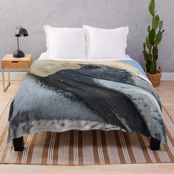 Item preview,  Brown pelican in North Carolina designed and sold by KensLensDesigns.