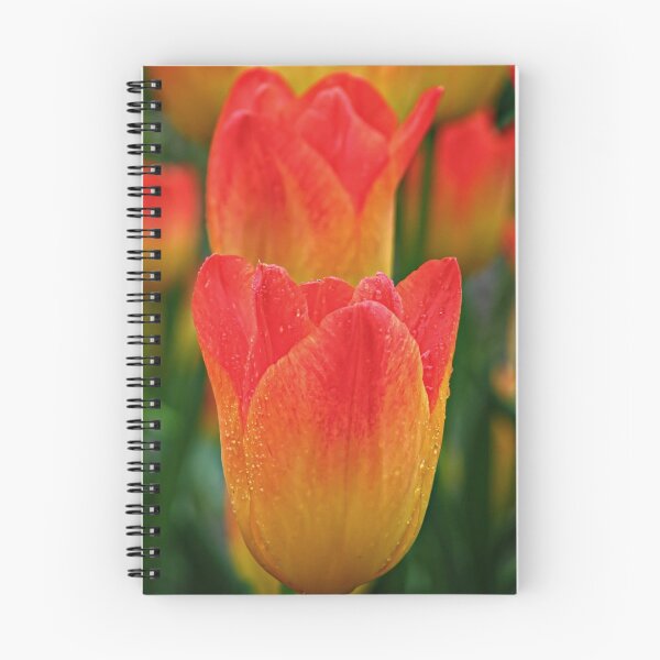 Item preview, Sunset designed and sold by Kathy Yates.