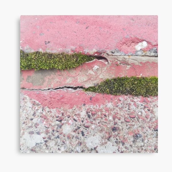 Green Moss and Pink Painted Sidewalk Canvas Print