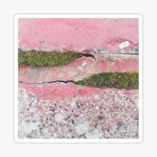 Green Moss and Pink Painted Sidewalk Sticker