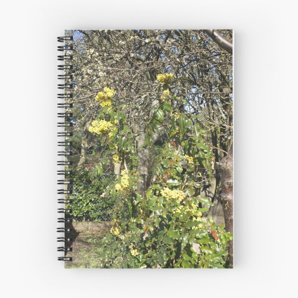 Item preview, Volunteer Holly Tree designed and sold by Loisb.