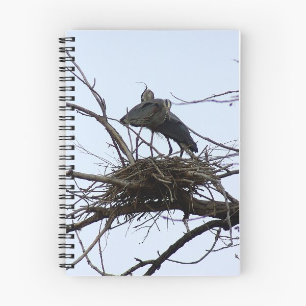 Item preview, Rearranging the nest designed and sold by Klaus Girk.