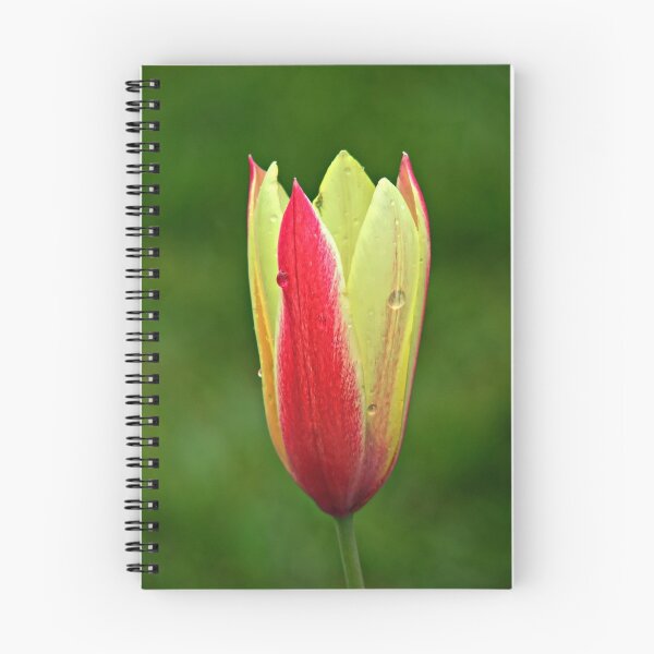 Item preview, I stand alone designed and sold by Kathy Yates.