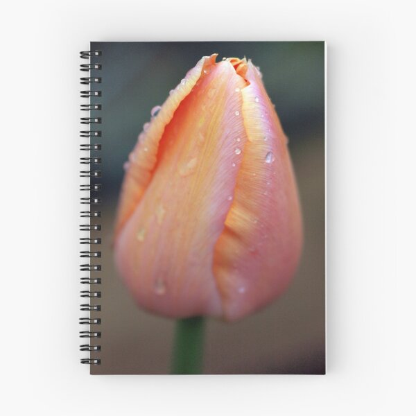 Item preview, tulip designed and sold by sully.