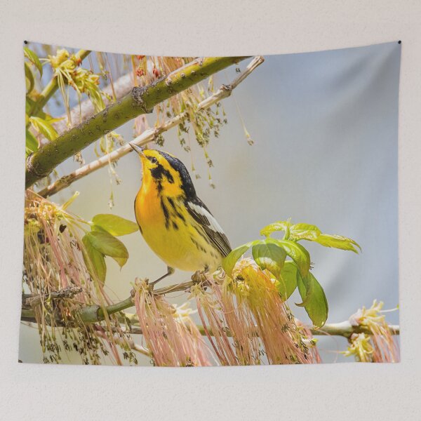 Item preview, Blackburnian Warbler designed and sold by Patty Doublet Photography.