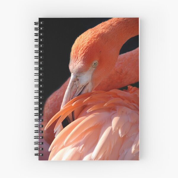 Item preview, Cuban Flamingo Grooming designed and sold by SerenaB.