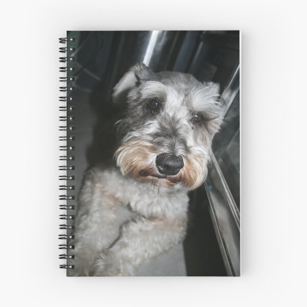 Item preview, Oh there is so much behind that expression! designed and sold by LeighSkaf.
