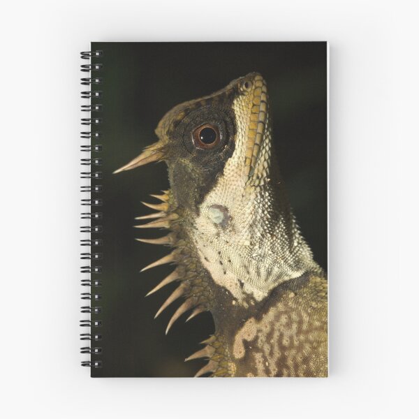 Item preview, Mountain Horned Dragon, Acanthosaura crucigera, Khao Sok National Park, Thailand designed and sold by Michal Cerny.