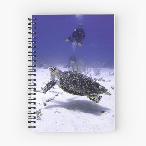 Item preview, Divers Watching Hawksbill Turtle designed and sold by SerenaB.