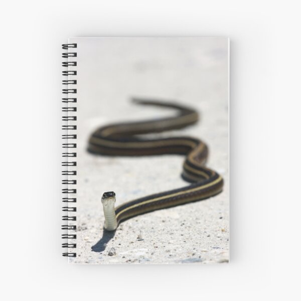 Ribbon Snake Spiral Notebook