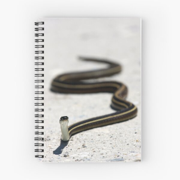 Item preview, Ribbon Snake designed and sold by J. L. Gould.
