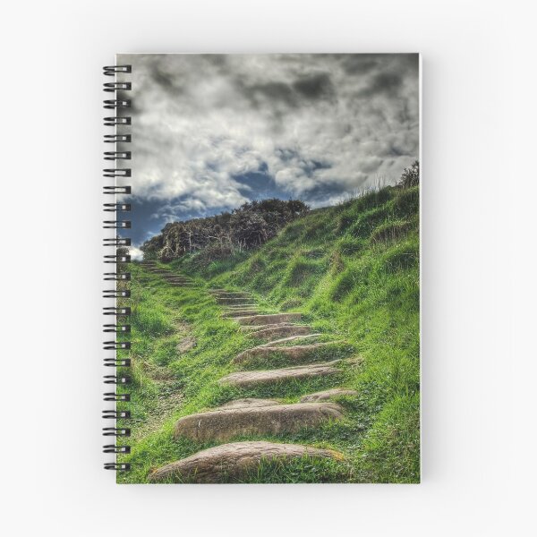 Item preview, The Steps designed and sold by Don Lumsden.