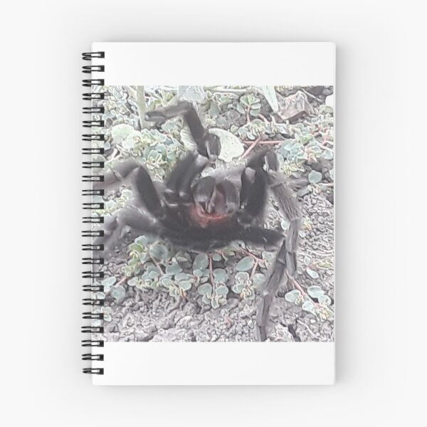Item preview, DONT THREATEN THE TARANTULA designed and sold by Jarred Chaisson.