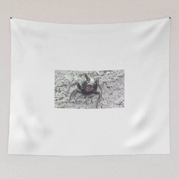 Item preview, DONT THREATEN THE TARANTULA designed and sold by Jarred Chaisson.