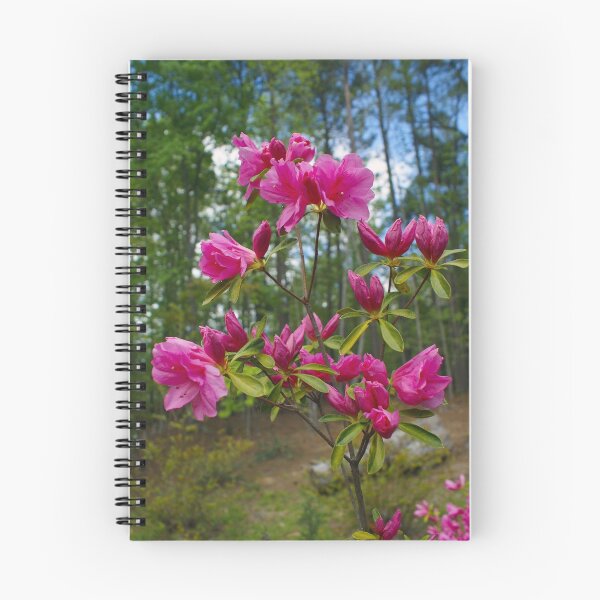 Item preview, Pink Azalea designed and sold by Berk Nash.