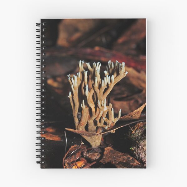 Item preview, Odd coral fungi designed and sold by Colin12.