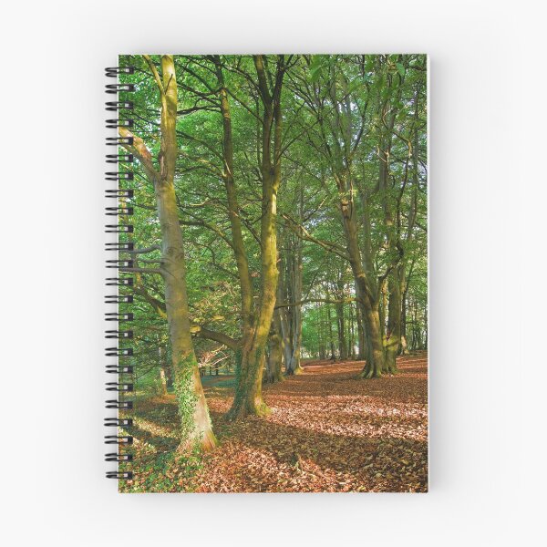 Item preview, Aggs Hill Woods, The Cotswolds, England designed and sold by Giles Clare.