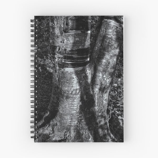Item preview, Tree trunk designed and sold by Jeffrey  Sinnock.