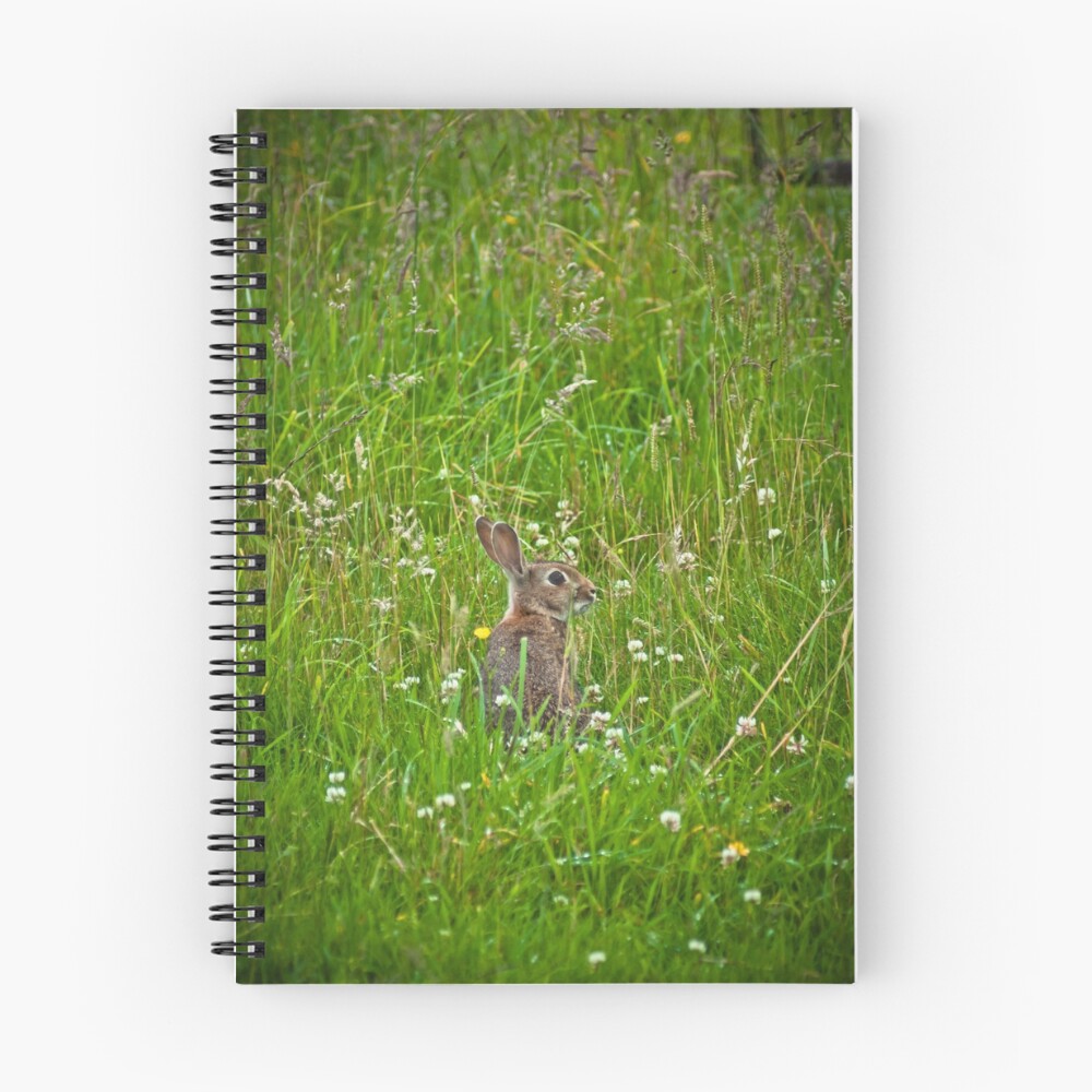 Item preview, Spiral Notebook designed and sold by LeePriest.