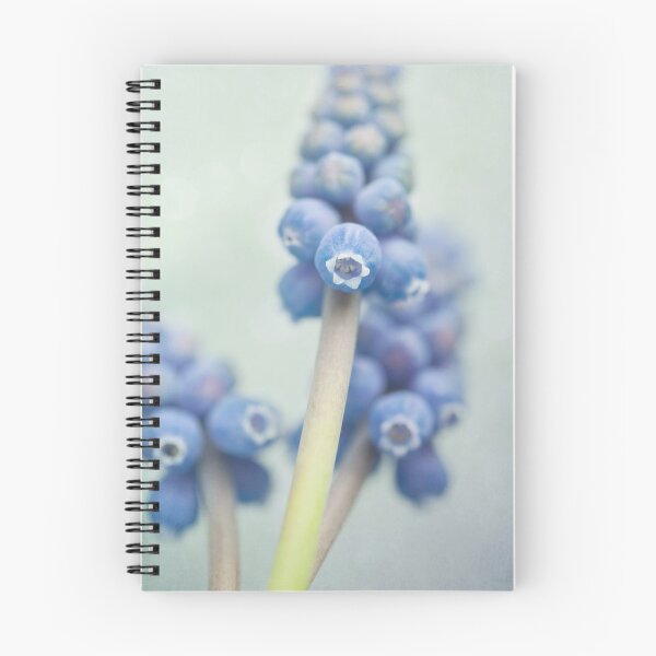 Item preview, Muscari designed and sold by Priska Wettstein.