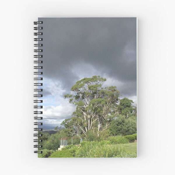 Item preview, vista at Rosevears Vineyard   designed and sold by Gaylene Norton.