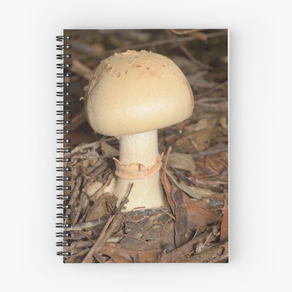 Item preview, Mushroom - Amanita sp. designed and sold by Andrew Trevor-Jones.