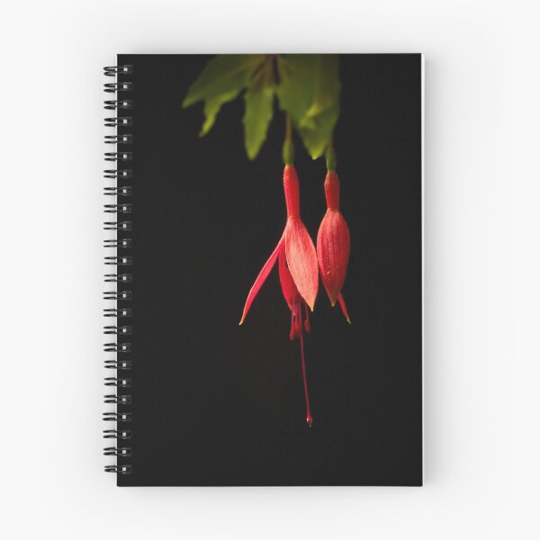 Item preview, Fuchsia on Black designed and sold by BoB Davis.