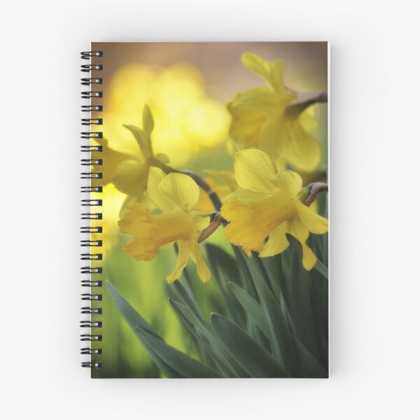 Item preview, The Spring Daffodils designed and sold by aaronc.