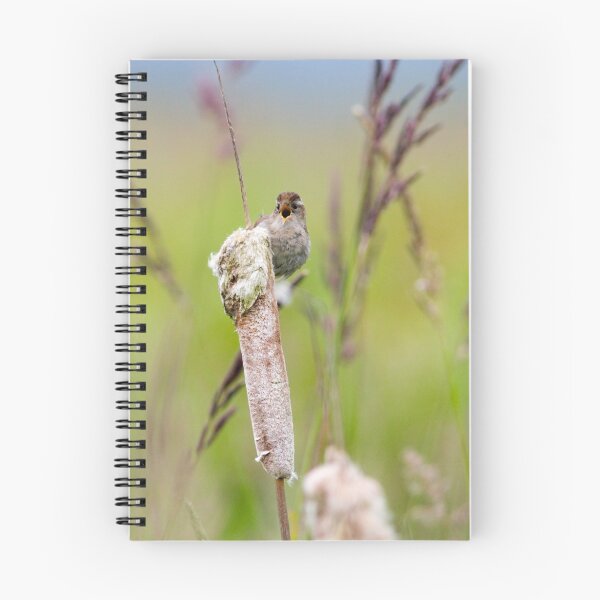 Item preview, Singing Marsh Wren designed and sold by Randall Ingalls.