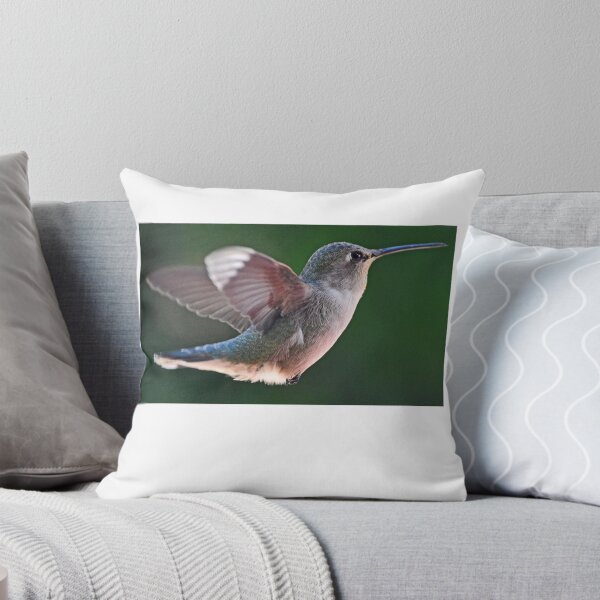 Item preview, FEMALE ANNA'S IN-FLIGHT AROUND FEEDER PERCH designed and sold by JAYMILO.