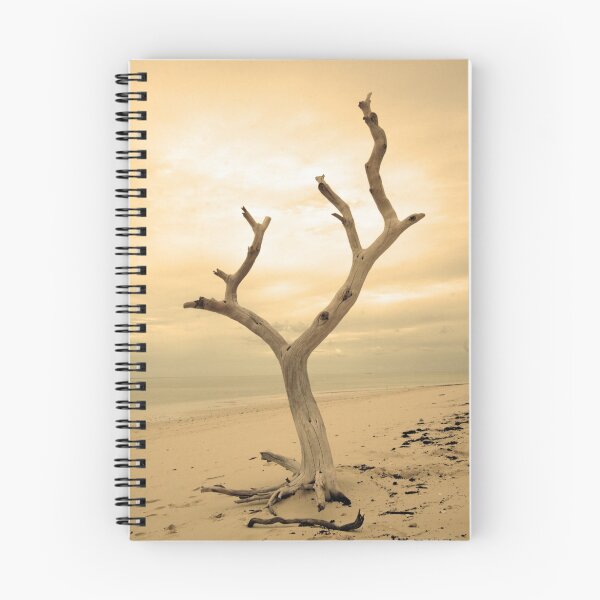 Item preview, Dead on a Beach designed and sold by May-Le Ng.