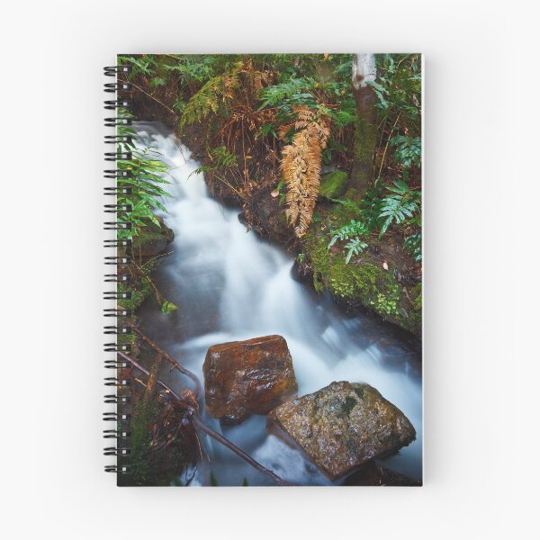 Item preview, Stream on Betts Vale Track, Mount Wellington designed and sold by Chris Cobern.