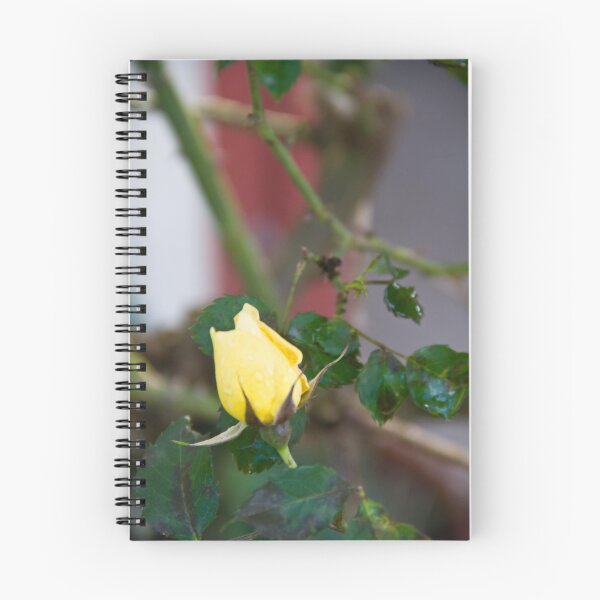Item preview, Yellow Rose Bud designed and sold by Ben Breen.