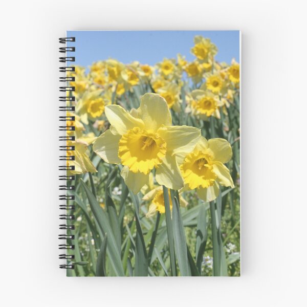 Item preview, Daffodils designed and sold by Jeanne Horak-Druiff.