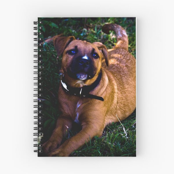 Item preview, Happy Pose - Brisbane, Australia designed and sold by Kirstie Dux.