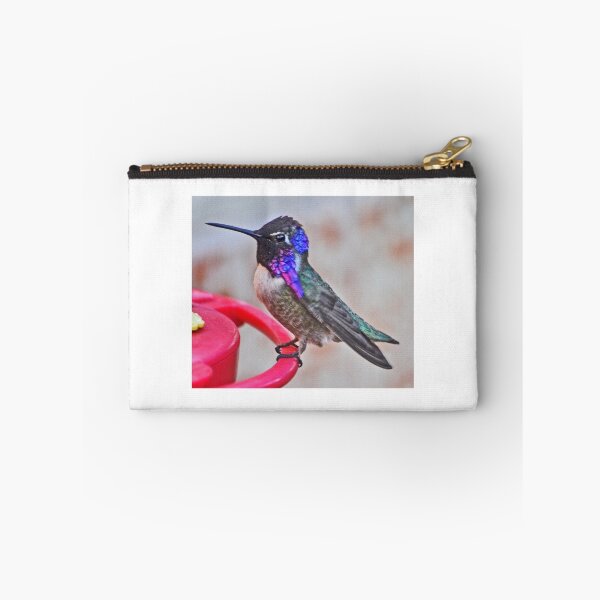 Item preview, MALE COSTA'S HUMMINGBIRD ON PERCH designed and sold by JAYMILO.