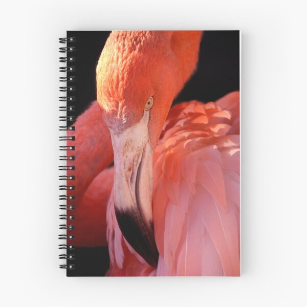 Item preview, Cuban Flamingo Grooming designed and sold by SerenaB.