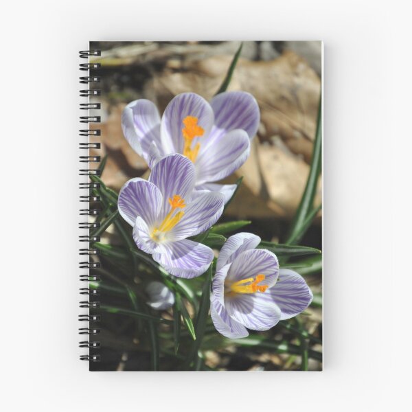 Item preview, Crocuses designed and sold by Leera07.