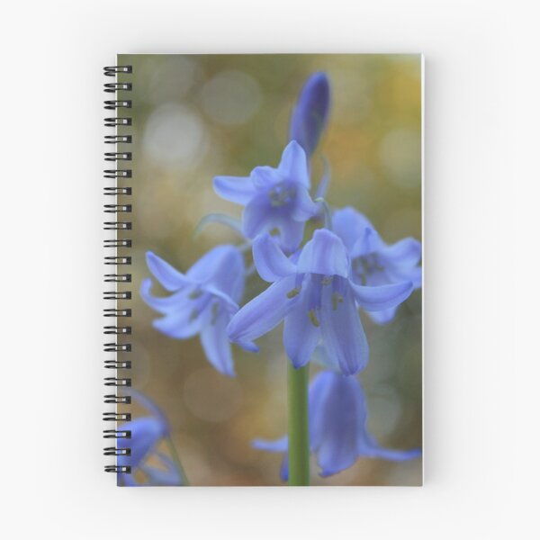 Item preview, Bluebells designed and sold by Martin Griffett.