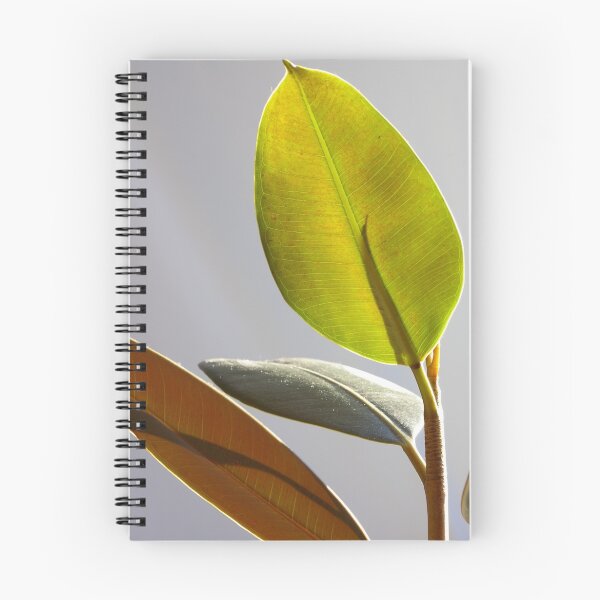Item preview, The Plant designed and sold by sprucedimages.