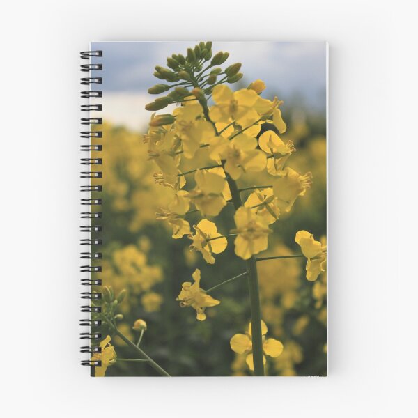 Item preview, they call it mellow yellow designed and sold by yampy.