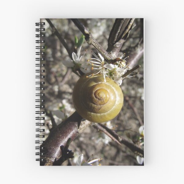 Item preview, settling in :) designed and sold by carlinecasey.
