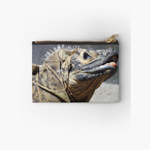 Item preview, Sailfin Lizard designed and sold by kirstybush.
